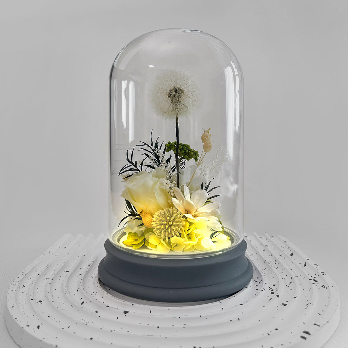 Blooms by Amora Pat Light Dome A (Dandelion)-Pat003ap-10*16cm