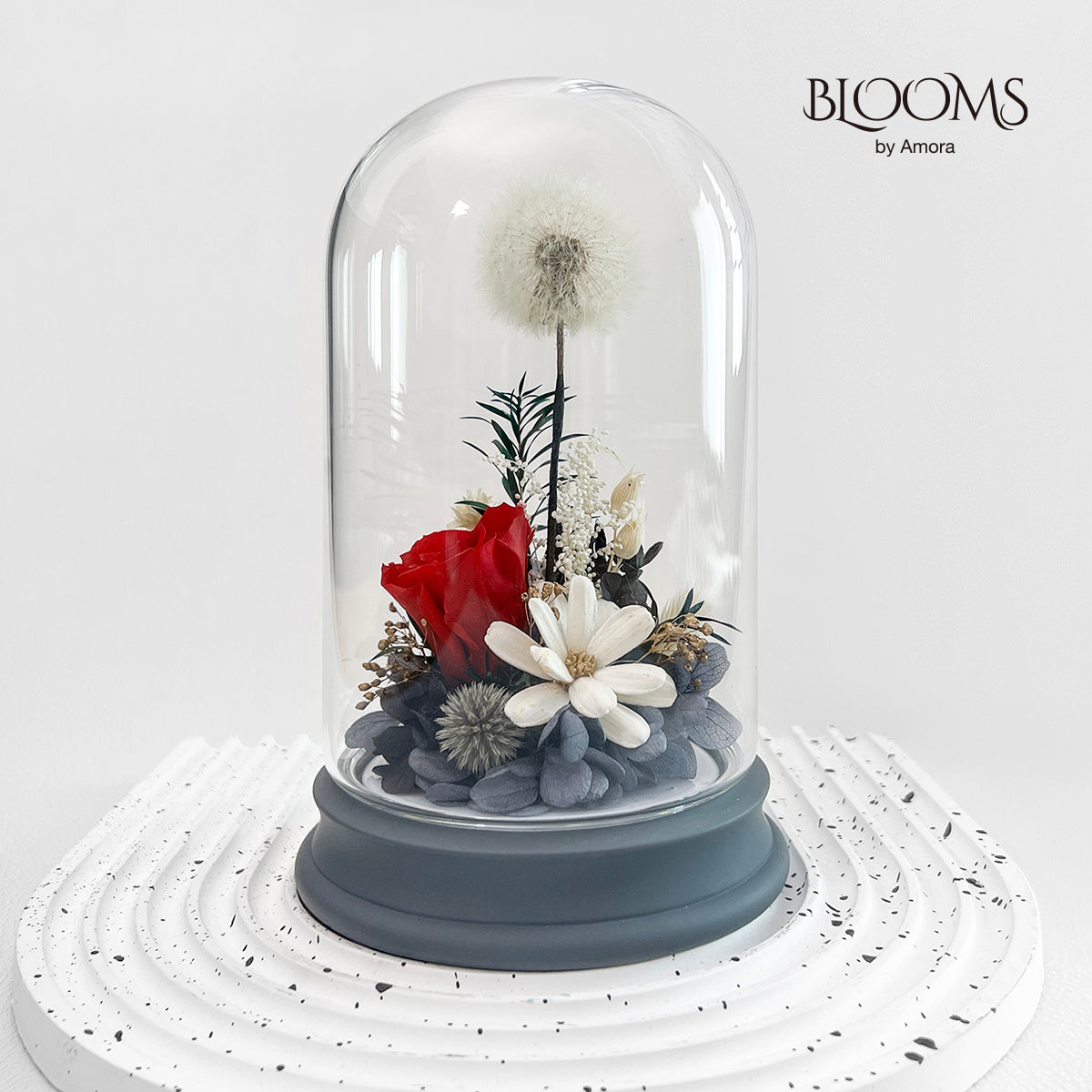 Blooms by Amora Pat Light Dome B (Dandelion)-Pat003bp-10*16cm