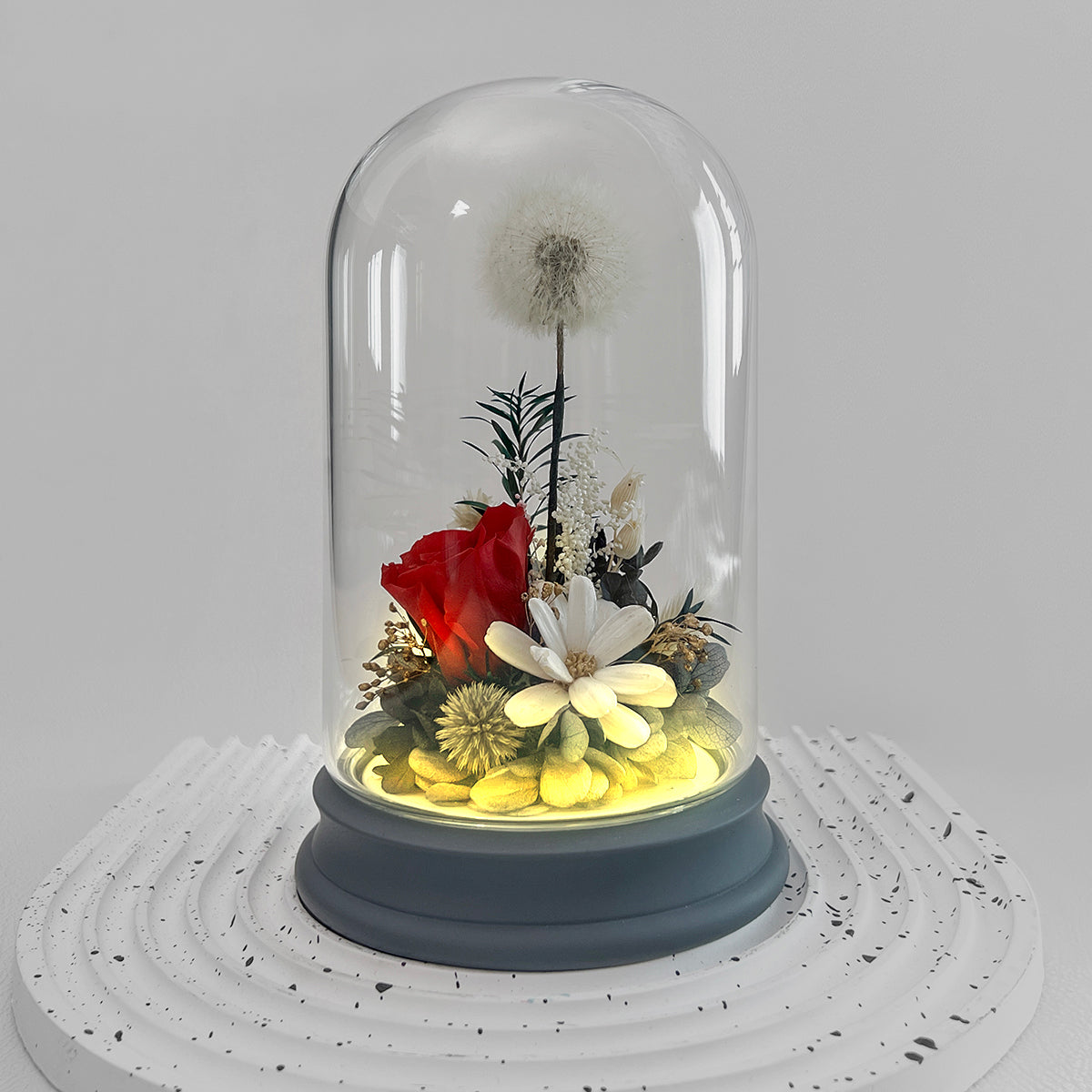 Blooms by Amora Pat Light Dome B (Dandelion)-Pat003bp-10*16cm