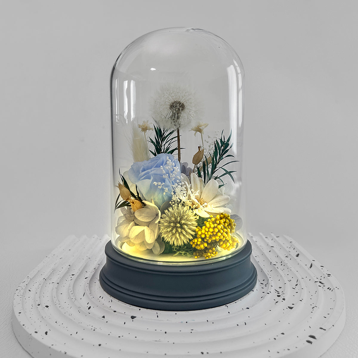 Blooms by Amora Pat Light Dome C (Dandelion)-Pat003cp-10*16cm