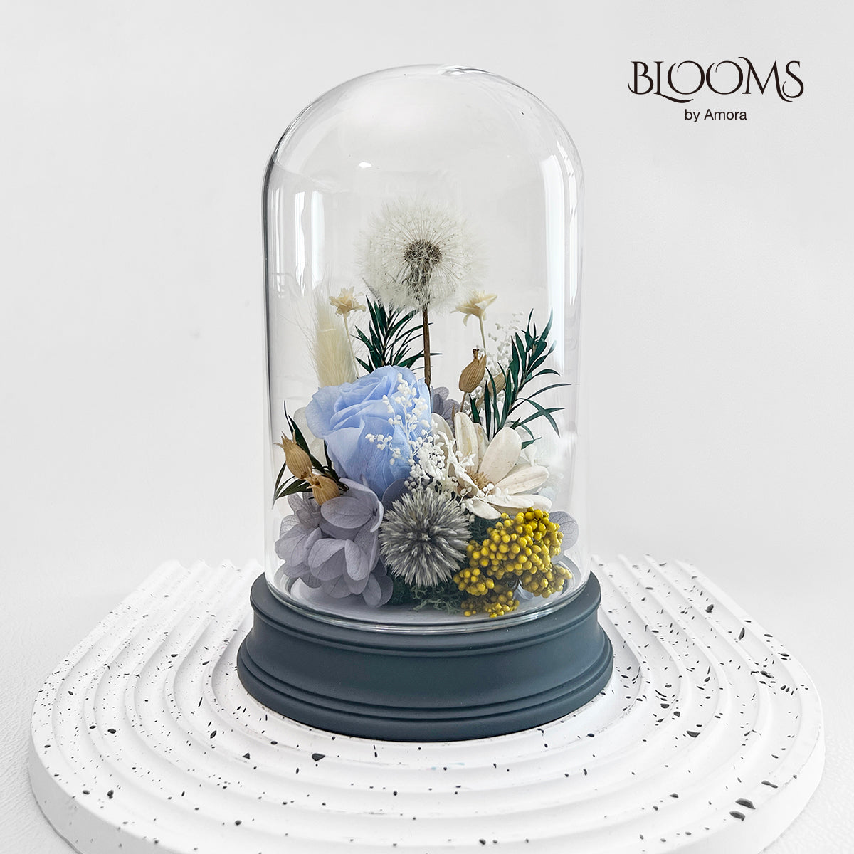 Blooms by Amora Pat Light Dome C (Dandelion)-Pat003cp-10*16cm