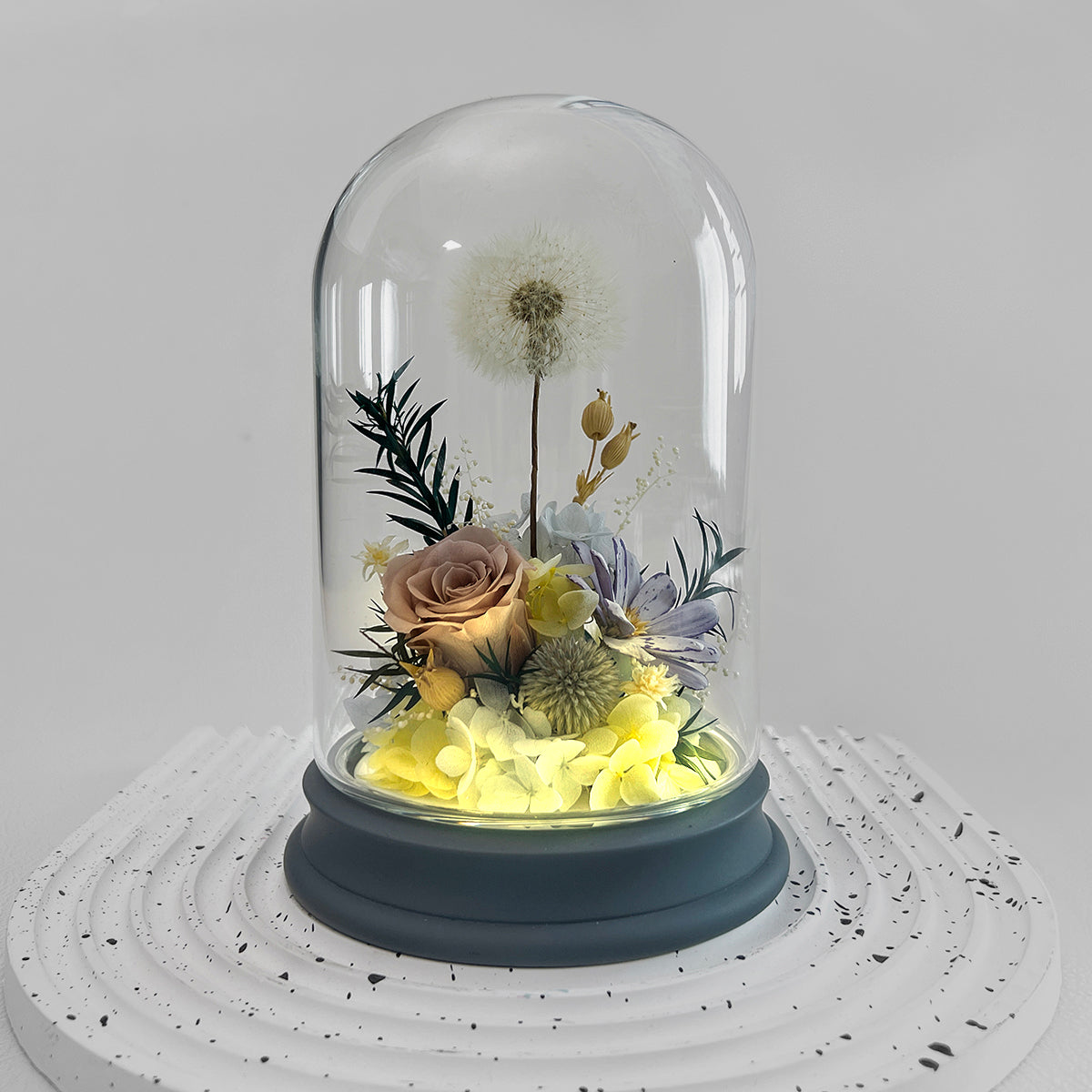 Blooms by Amora Pat Light Dome D (Dandelion)-Pat003dp-10*16cm