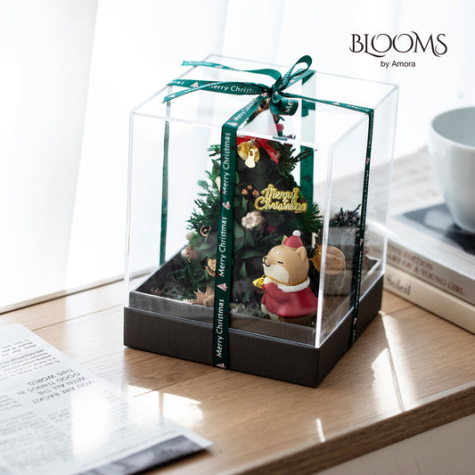 Preserved Flower Christmas Box A (Xmas Tree)-Xmas001P-12.5*12.5*15cm