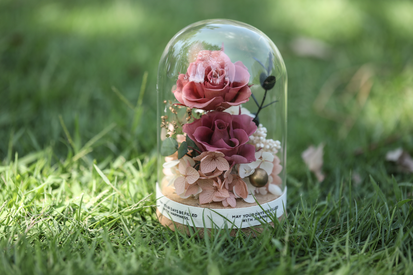 Preserved flowers for decoration Dried boutonnieres Dried floral arrangements  Flowers [natural] Dried plants for decoration  Dried flowers for decoration Natural plants and flowers Blooms by Amora Cork Base Dome B (2Roses)-Cor008bp-8.5*12cm