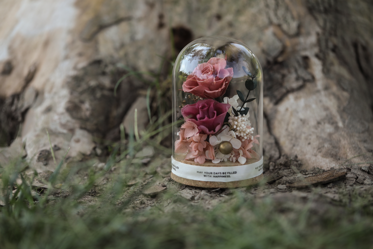 Preserved flowers for decoration Dried boutonnieres Dried floral arrangements  Flowers [natural] Dried plants for decoration  Dried flowers for decoration Natural plants and flowers Blooms by Amora Cork Base Dome B (2Roses)-Cor008bp-8.5*12cm