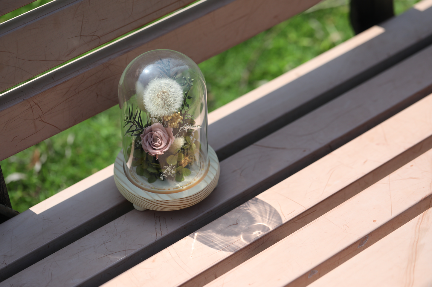 Blooms by Amora Night Light Wooden Dome D (Dandelion)-Wod005dp-9*15cm